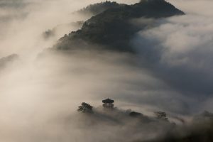 韩国综艺节目专区，展示多档热门综艺节目截图，欢乐氛围，色彩明快